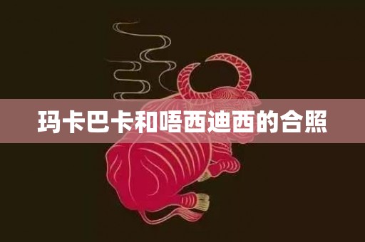 玛卡巴卡和唔西迪西的合照