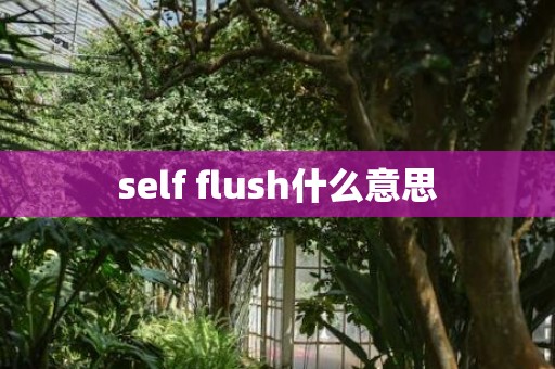 self flush什么意思