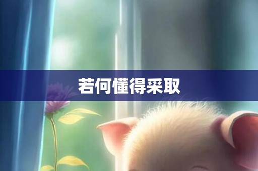 若何懂得采取