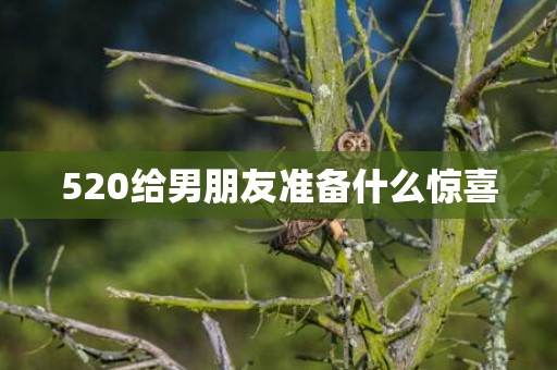 520给男朋友准备什么惊喜