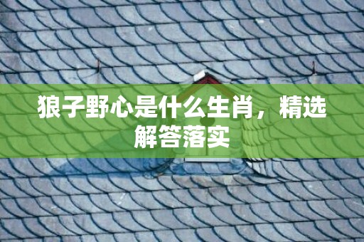 狼子野心是什么生肖，精选解答落实