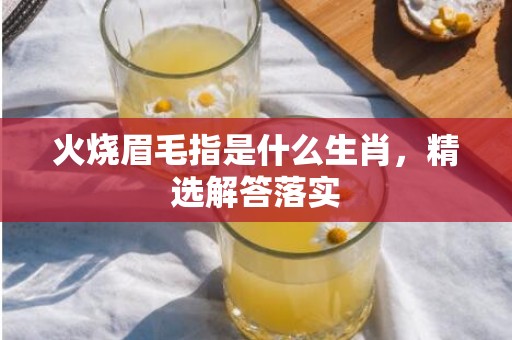 火烧眉毛指是什么生肖，精选解答落实