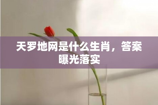 天罗地网是什么生肖，答案曝光落实