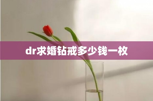 dr求婚钻戒多少钱一枚