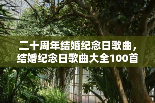 二十周年结婚纪念日歌曲，结婚纪念日歌曲大全100首