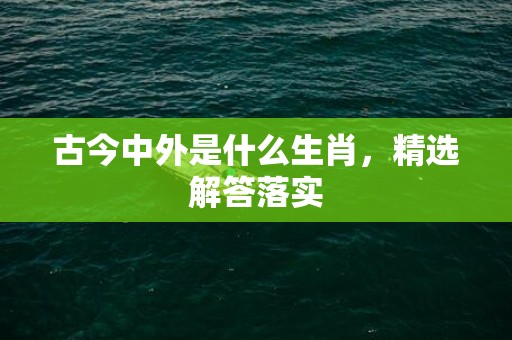 古今中外是什么生肖，精选解答落实