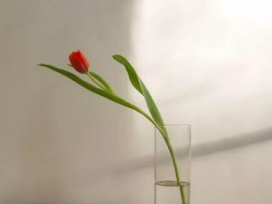 订婚时求婚告白词（今天我订婚的表白词女方）