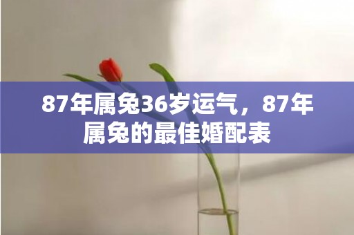 87年属兔36岁运气，87年属兔的最佳婚配表