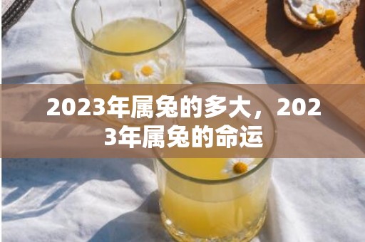 2023年属兔的多大，2023年属兔的命运