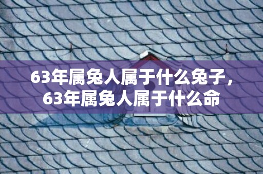 63年属兔人属于什么兔子，63年属兔人属于什么命