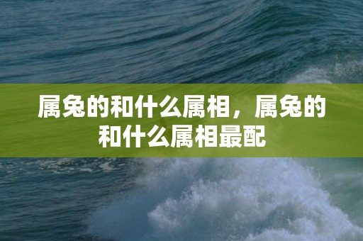 属兔的和什么属相，属兔的和什么属相最配