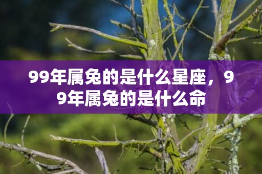 99年属兔的是什么星座，99年属兔的是什么命