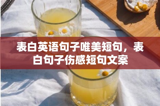 表白英语句子唯美短句，表白句子伤感短句文案