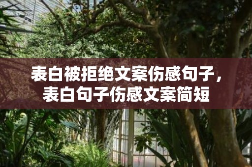 表白被拒绝文案伤感句子，表白句子伤感文案简短