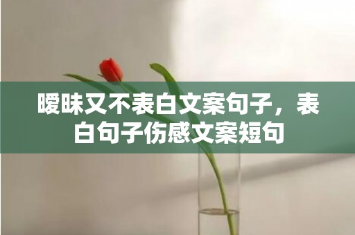 暧昧又不表白文案句子，表白句子伤感文案短句