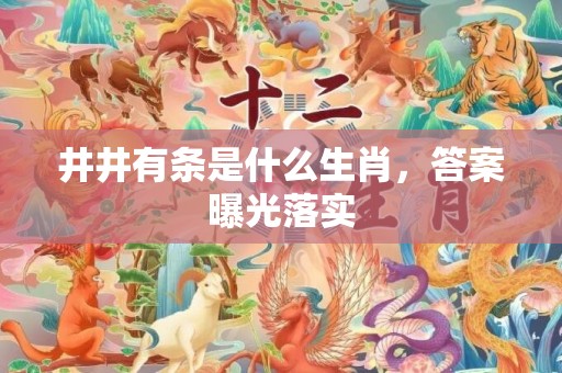 井井有条是什么生肖，答案曝光落实