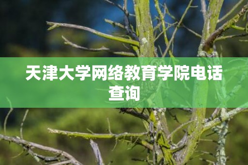 天津大学网络教育学院电话查询
