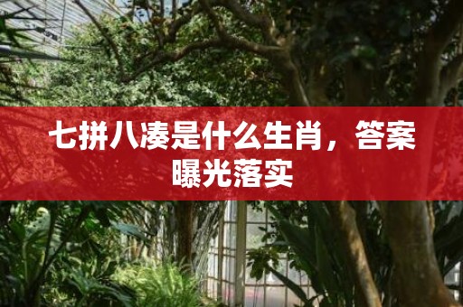 七拼八凑是什么生肖，答案曝光落实