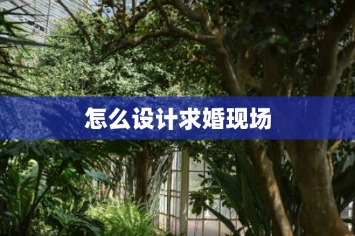 怎么设计求婚现场