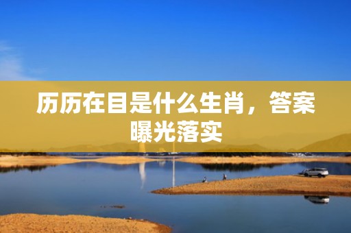 历历在目是什么生肖，答案曝光落实