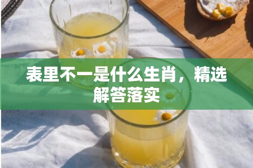 表里不一是什么生肖，精选解答落实