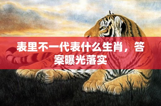 表里不一代表什么生肖，答案曝光落实