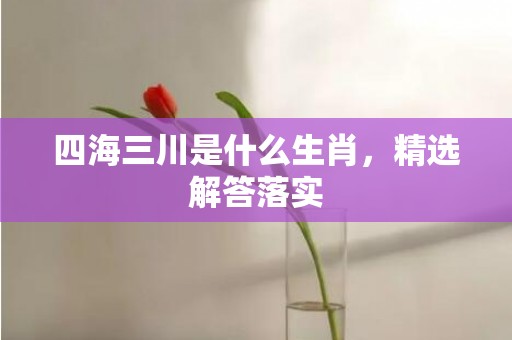 四海三川是什么生肖，精选解答落实
