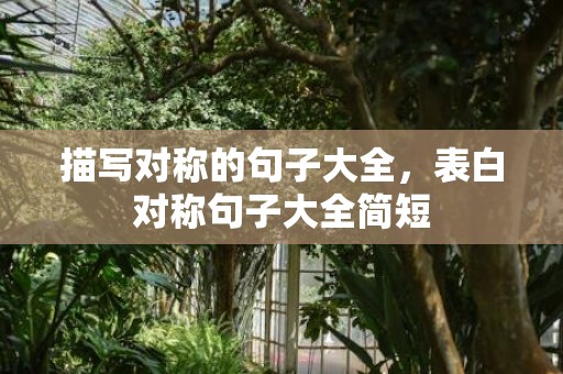 描写对称的句子大全，表白对称句子大全简短