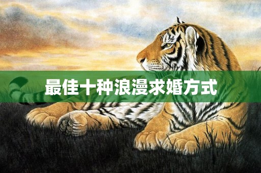 最佳十种浪漫求婚方式