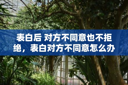 表白后 对方不同意也不拒绝，表白对方不同意怎么办