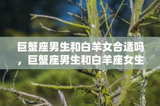 巨蟹座男生和白羊女合适吗，巨蟹座男生和白羊座女生相配吗
