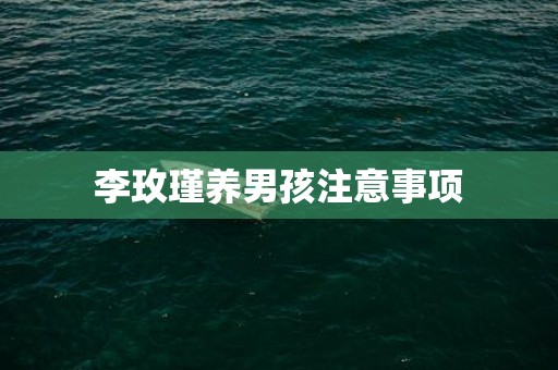 李玫瑾养男孩注意事项