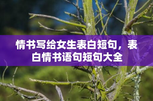 情书写给女生表白短句，表白情书语句短句大全