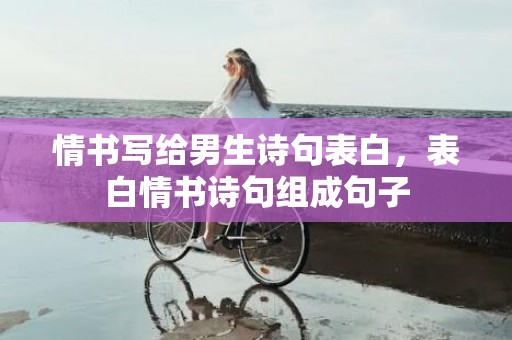情书写给男生诗句表白，表白情书诗句组成句子