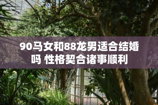 90马女和88龙男适合结婚吗 性格契合诸事顺利