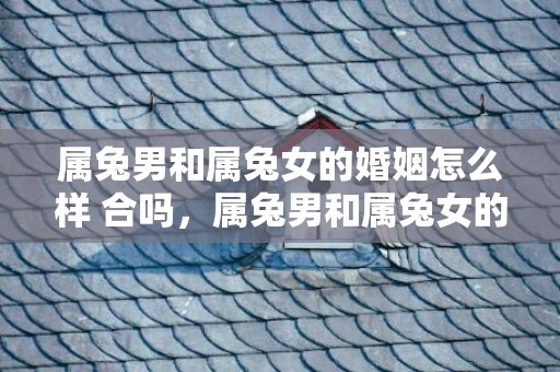 属兔男和属兔女的婚姻怎么样 合吗，属兔男和属兔女的婚姻怎么样