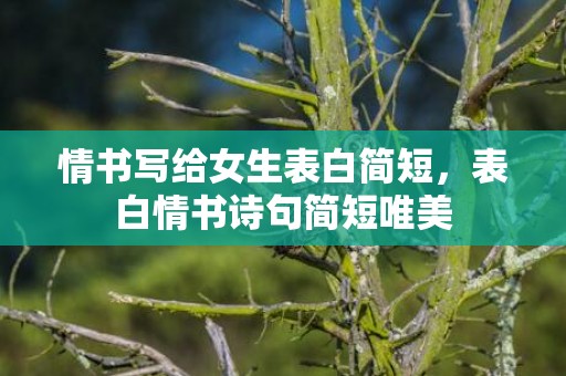 情书写给女生表白简短，表白情书诗句简短唯美