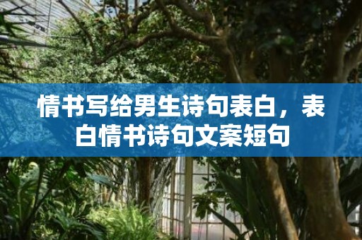 情书写给男生诗句表白，表白情书诗句文案短句