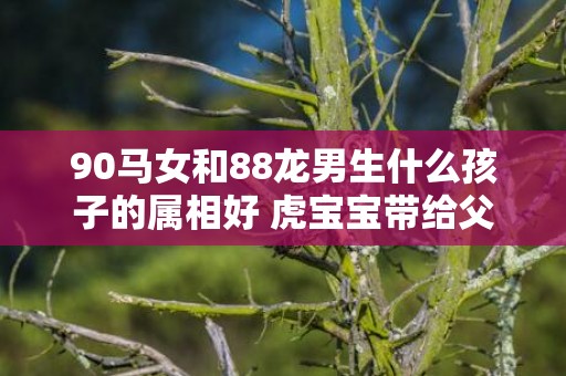 90马女和88龙男生什么孩子的属相好 虎宝宝带给父母最大的惊喜