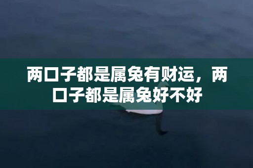 两口子都是属兔有财运，两口子都是属兔好不好