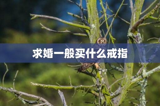 求婚一般买什么戒指