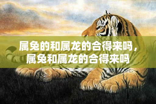 属兔的和属龙的合得来吗，属兔和属龙的合得来吗