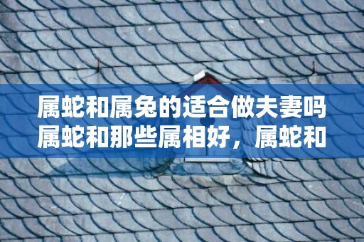 属蛇和属兔的适合做夫妻吗属蛇和那些属相好，属蛇和属兔的适合做夫妻吗