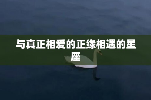 与真正相爱的正缘相遇的星座