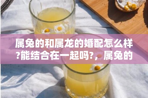 属兔的和属龙的婚配怎么样?能结合在一起吗?，属兔的和属龙的婚配怎么样