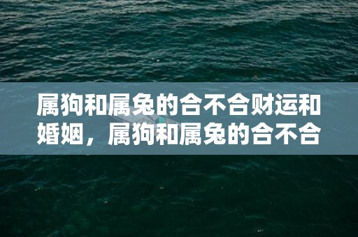 属狗和属兔的合不合财运和婚姻，属狗和属兔的合不合
