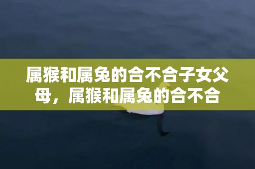 属猴和属兔的合不合子女父母，属猴和属兔的合不合