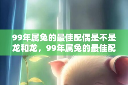 99年属兔的最佳配偶是不是龙和龙，99年属兔的最佳配偶