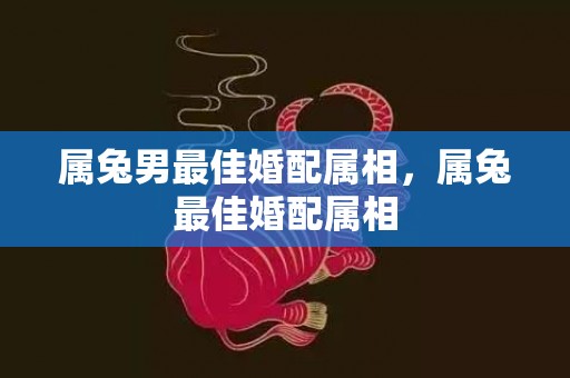 属兔男最佳婚配属相，属兔最佳婚配属相