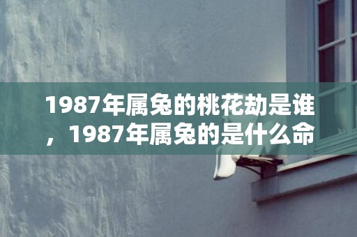 1987年属兔的桃花劫是谁，1987年属兔的是什么命
